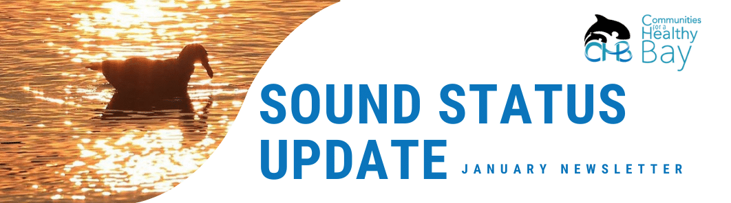 Sound Status Update January 2023
