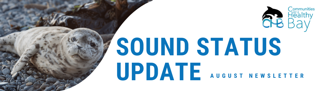 Sound Status Update August 2022