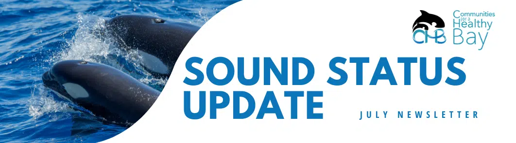 Sound Status Update July 2022
