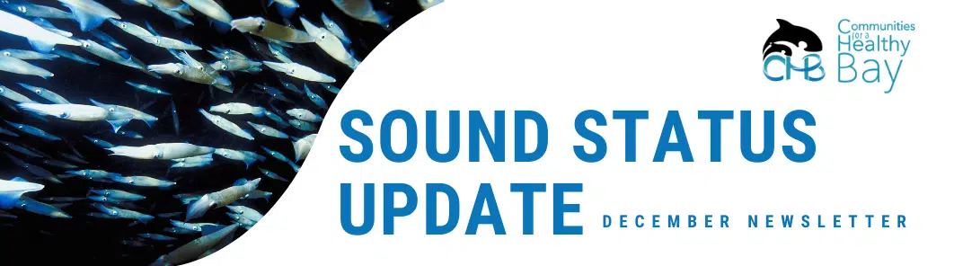 Sound Status Update December 2022