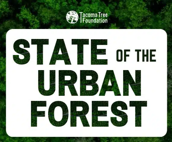 State of the Urban Forest