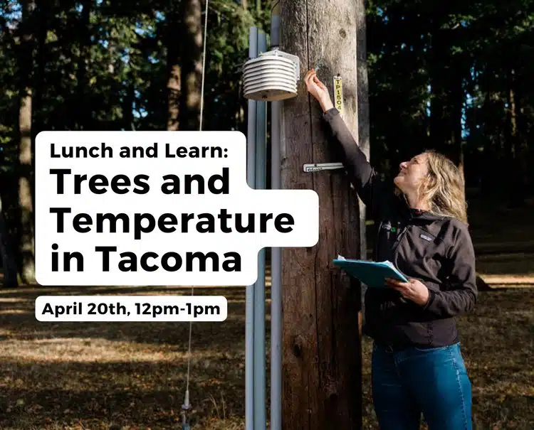 Lunch and Learn Webinar: Trees and Temperature in Tacoma