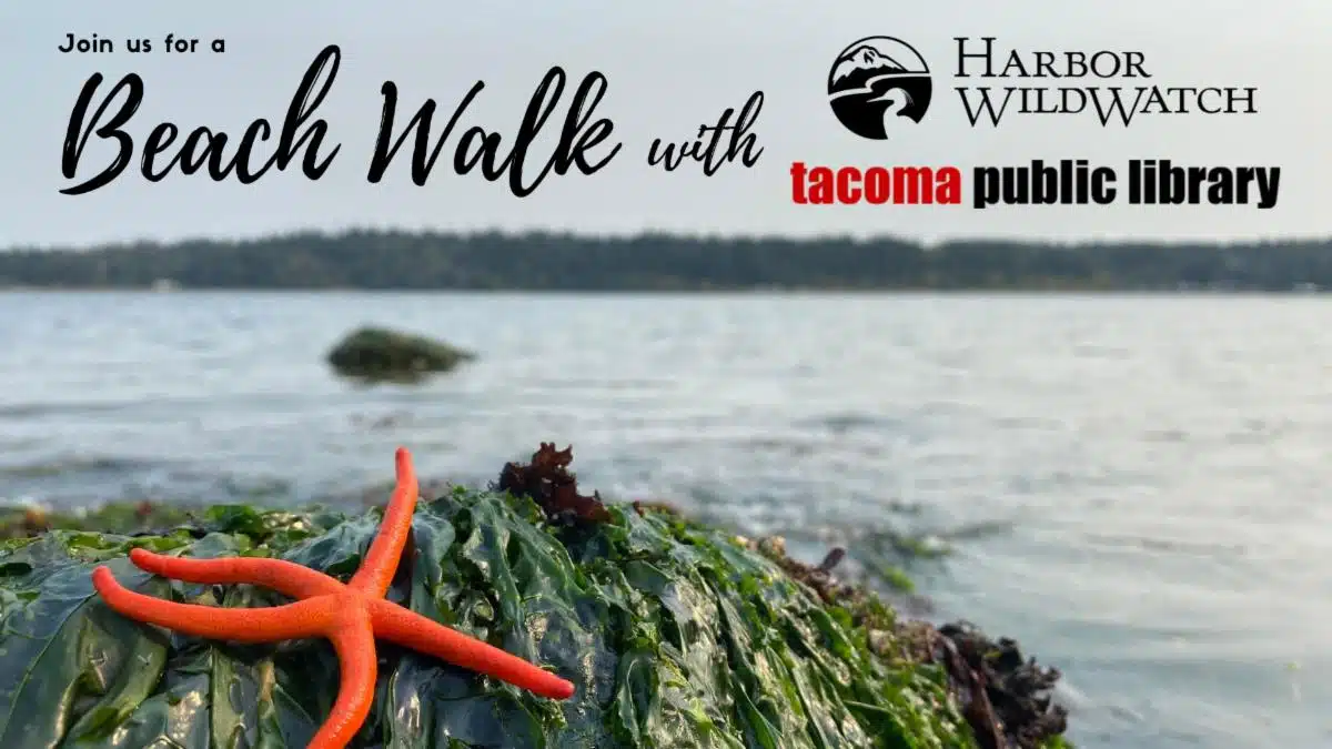 Low Tide Beach Walks with Harbor WildWatch & Tacoma Public Library – Titlow Beach