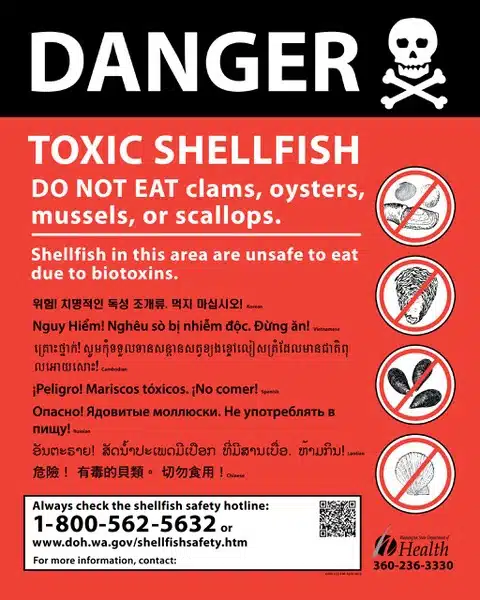 Rising Paralytic Shellfish Poison Levels Prompt Beach Closures in Pierce County